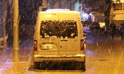 Van beyaza büründü