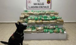 Van'da 51 kilo skunk ele geçirildi