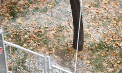 Van'da dolu yağışı zor anlar yaşattı