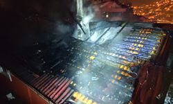 Yangında mahsur kalan papağanın yardımına itfaiye yetişti