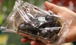 Yaz meyvelerinde rekor fiyat