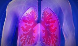 C vitamini akciğerlerdeki hücre hasarını azaltıyor mu?