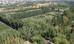 Atatürk Orman Çiftliği'nde Yapılacak Aktiviteler