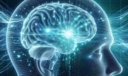 Bilim Dünyasında İnme İçin Umut Verici Gelişme