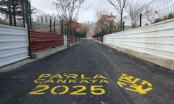 Çankaya'da Patili Dostlar için Yenileme Çalışması