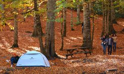 Ankara’ya Yakın Kamp Alanları: Doğa ile Buluşmak İsteyenler İçin En İdeal Yerler