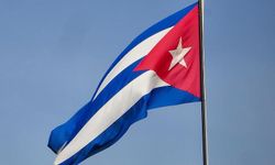 Küba'da sivrisinek vakası: 33 ölü