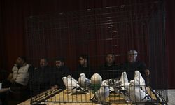 '24. Uluslararası Şebap Güvercin Festivali'