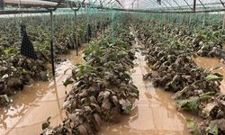 Antalya'da sağanak hasara yol açtı