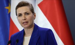 Danimarka'dan ABD'ye 'Tehditleri Durdurun' Çağrısı