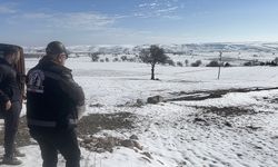Kış mevsiminde Adıyaman'daki yaban hayvanları unutulmadı