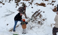 Kış mevsiminde Erzincan'daki yabani hayvanlar unutulmadı