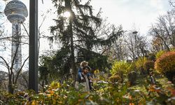 Meteoroloji duyurdu: Hafta sonu yurt genelinde hava sıcaklığı artacak