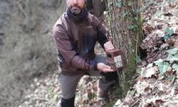 Anadolu parsına zarar vermenin bedeli 45 milyon TL