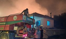 Antalya'da ormanı alevler sardı