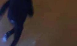 Arkadaş grubuna kurt saldırısı