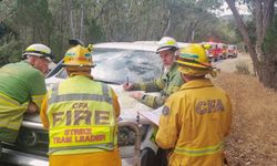 Avustralya orman yangınlarında son durum ne?