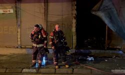 Aydın'da korkutan yangın