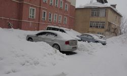 Bitlis'te 51 köy yolu kapandı