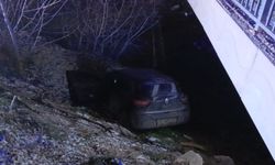 Bursa'da otomobil dereye uçtu