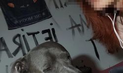 Çankaya'da 'evini ateşe vererek yangını izlediği' iddiası