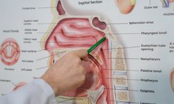 Çocuklarda geniz eti belirtileri nelerdir?