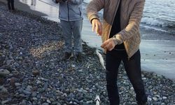 Denizdeki kafes yırtıldı, amatör balıkçılar sahile indi