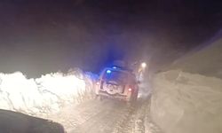 Diyarbakır'da kar yağışı nedeniyle uçuşlar iptal edildi