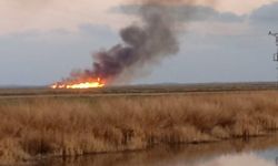 Eber Gölü'nün 5 farklı noktasında eş zamanlı yangın çıktı