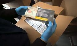 Edirne'de kaçak tütün operasyonu