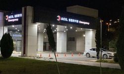 Elazığ'da tren kazası can aldı