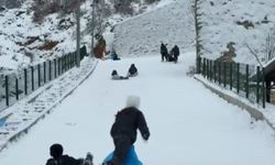 Gümüşhane'de kar etkisi: Yollar ulaşıma kapandı