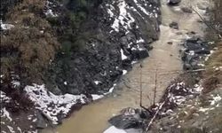 Hatay'da otomobil dereye uçtu