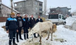 Hayvanlara sahip çıkan besiciye destek