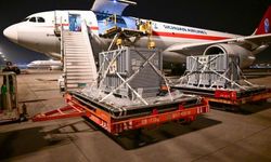 Japonya'daki son iki dev panda Çin'e gitti