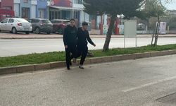 Karne almaya giderken kaza yaptılar