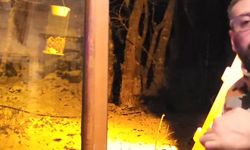 Kartepe'de Tilkiyi Eliyle Besledi