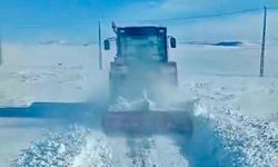 Köylüler yolları birlikte açtı