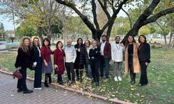 Küresel ısınmanın influenza virüsüne etkisi