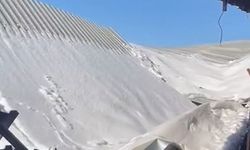 Mardin'de kara dayanamayan ahır çöktü: 10 koyun öldü