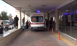 Şanlıurfa'da minibüs ağaca çarptı