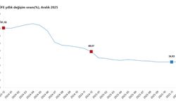 TÜİK: Hizmet üretici fiyatları aralıkta artış gösterdi