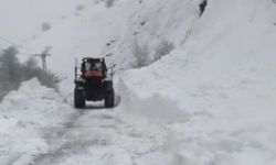 Tunceli'de çığ felaketi