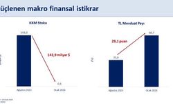 Türkiye'nin rezervleri tarihi zirvesinde