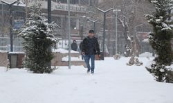 Van'da 110 yerleşim yeri açıldı