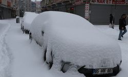 Van'da 287 yerleşim yeri ulaşıma kapandı