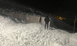 Van'da araç çığ altında kaldı