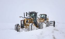 Van'da kardan yerleşim yolları kapandı