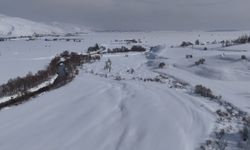 Yüksekova'da ördekler, buz tutan derede yüzdü