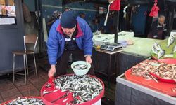 Zonguldak'ta balıkçılar denize açılamadı
